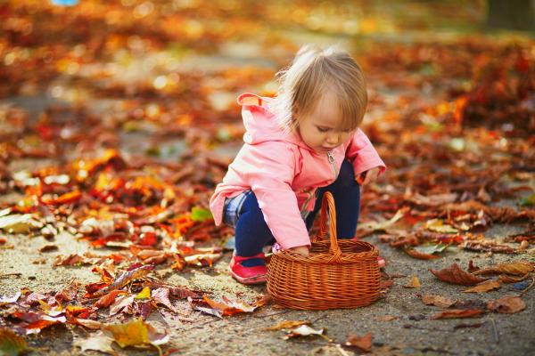 3 excursiones para ir a buscar castañas con niños este otoño