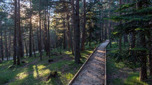 Ruta adaptada y señalizada por Sant Joan de l'Erm Con niños