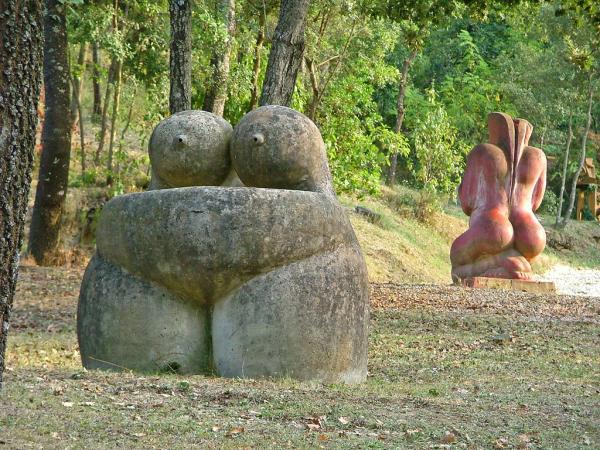 Bosc de Can Ginebreda Con niños