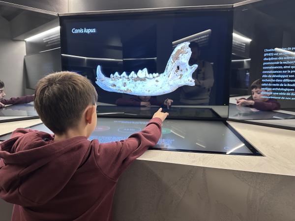 <span>2</span> Animales prehistóricos, fósiles y experiencia sensorial | Foto: ESCAPADAAMBNENS