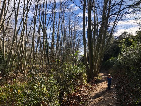 Las Dous de Torrelles de Foix