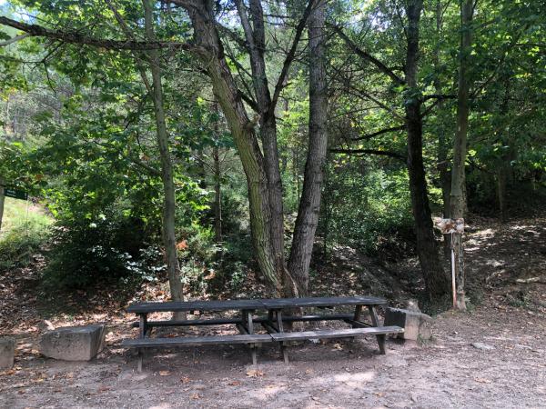 Àrea de pícnic Font d'en Jordana, a Ripoll