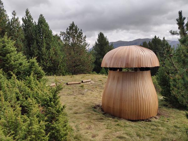 On són els bolets d’Andorra? Una excursió amb bolets gegants amb nens