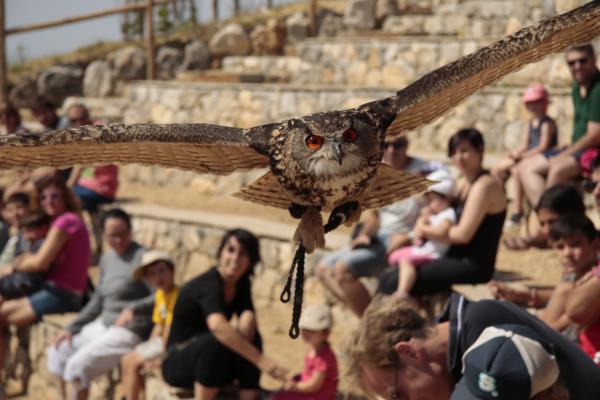 Zoo del Pirineu, a Odèn | ZOODELPIRINEU | ZOODELPIRINEU