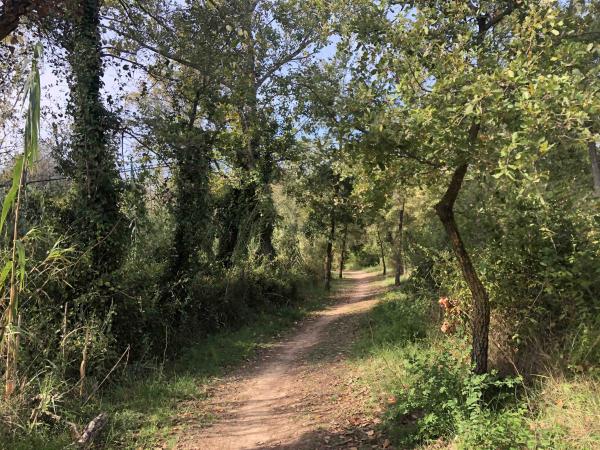 Ruta desde Vila-rodona, siguiendo la pista del Gaià | Ruta desde Vila-rodona. Foto: ESCAPADAAMBNENS.COM | Ruta desde Vila-rodona. Foto: ESCAPADAAMBNENS.COM