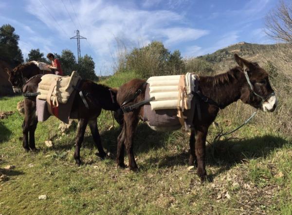 Rucs de Montsant amb nens