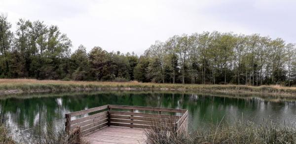 El Lago dels Basturs Con niños