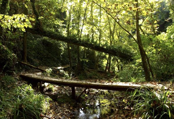 Ruta por el Torrent de Colobrers