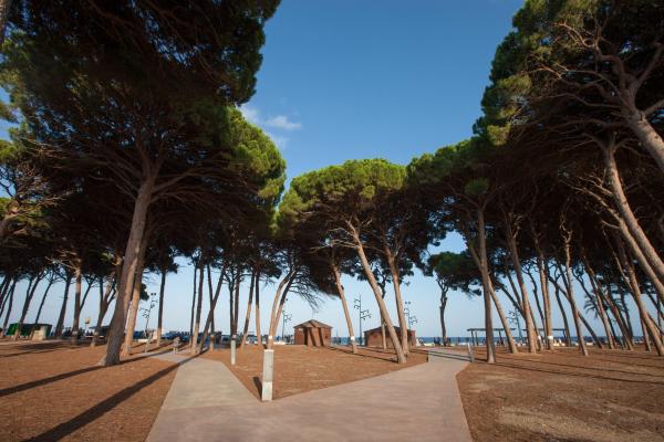 Parque del Perruquet Con niños