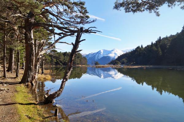 La Bassa d'Oles, en Gausac