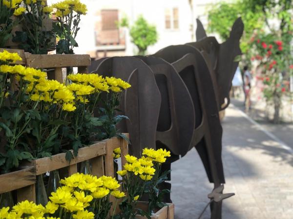 Santpedor en flor, la feria del arte y de las emociones