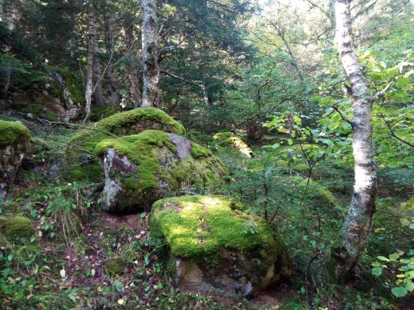 La Cascada de Gerber o Salt de Comials, el salt d'aigua més alt del Parc d'Aigüestortes | oribosch - wikiloc | hipolit - wikiloc