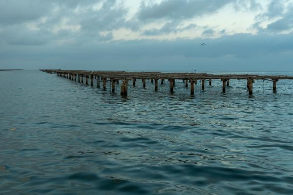 Ruta por las mejilloneras de la Bahía dels Alfacs Con niños