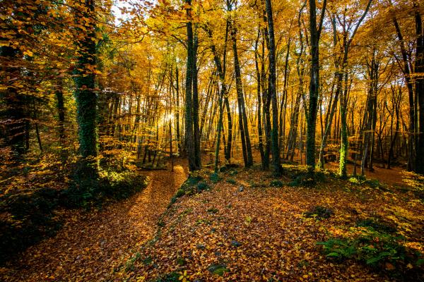 Un fin de semana en la Garrotxa con niños