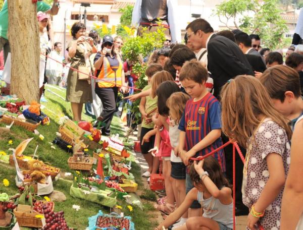 Exposició de Cireres en Sant Climent de Llobregat, en el Baix Llobregat