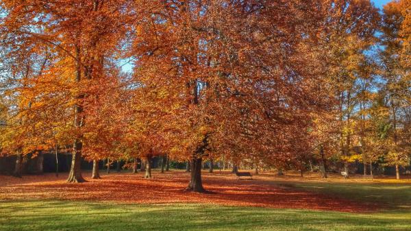 El Parc Nou d'Olot amb nens