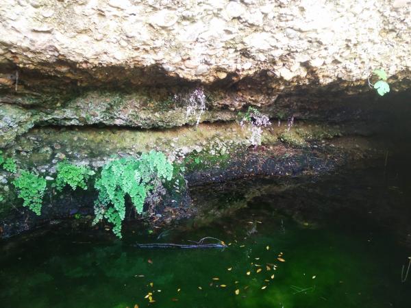 Les Fonts del Carme | Les Fonts del Carme, a Tivenys. Foto: AJUNTAMENT DE TIVENYS