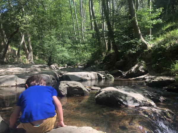 Picnics al aire libre: 5 lugares para ir con niños