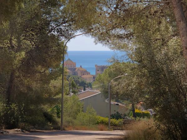 Ermita de Sant Antoni | Ermita de Sant Antoni. Foto: ESCAPADAAMBNENS.COM | Ermita de Sant Antoni. Foto: ESCAPADAAMBNENS.COM | Ermita de Sant Antoni. Foto: ESCAPADAAMBNENS.COM | Ermita de Sant Antoni. Foto: ESCAPADAAMBNENS.COM