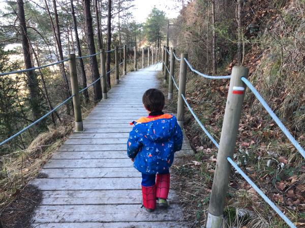 La Via del Nicolau i el pont penjant, al Berguedà