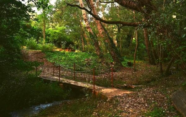 Alameda de Cabacés Con niños