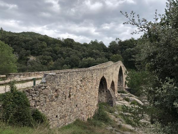 La Vía Verde del Llobregat, desde Cercs