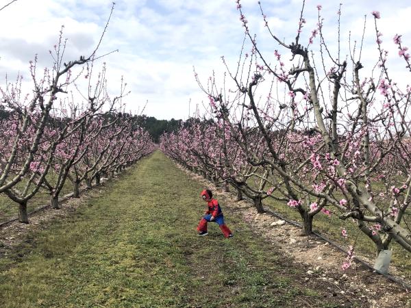 5 actividades familiares divertidas para disfrutar de la floración