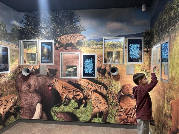 Mammuthus de La Canonja: un viaje fascinante a los orígenes de la humanidad Con niños