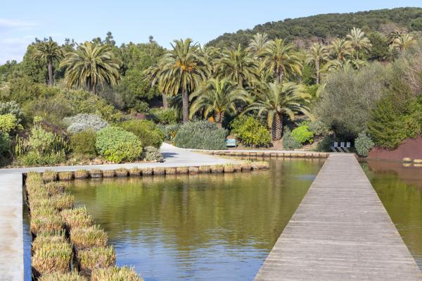 El jardí Botànic de Barcelona