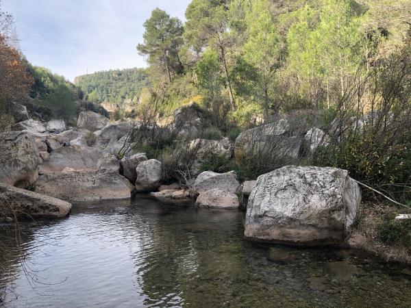 Toll del Molí de la Font Gran del riu Brugent | Toll del Molí de la Font Gran, La Riba. Foto: ESCAPADAAMBNENS.COM | Toll del Molí de la Font Gran, La Riba. Foto: ESCAPADAAMBNENS.COM