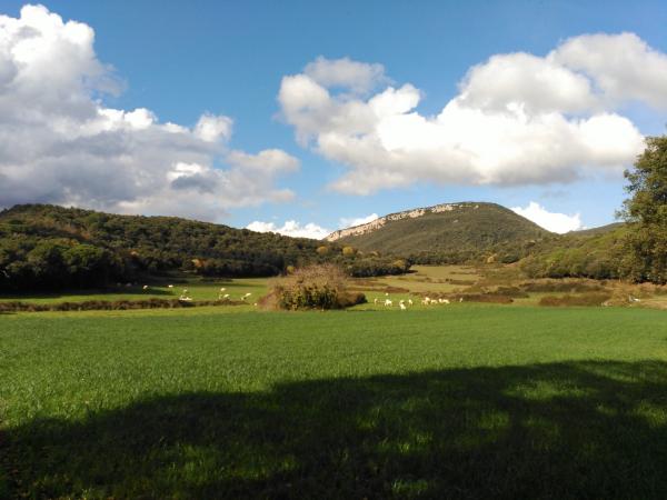 El volcán de la Banya del Bosc