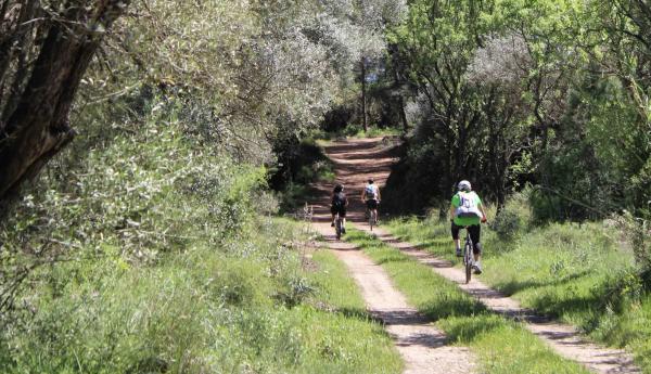 Camí de Sirga amb nens