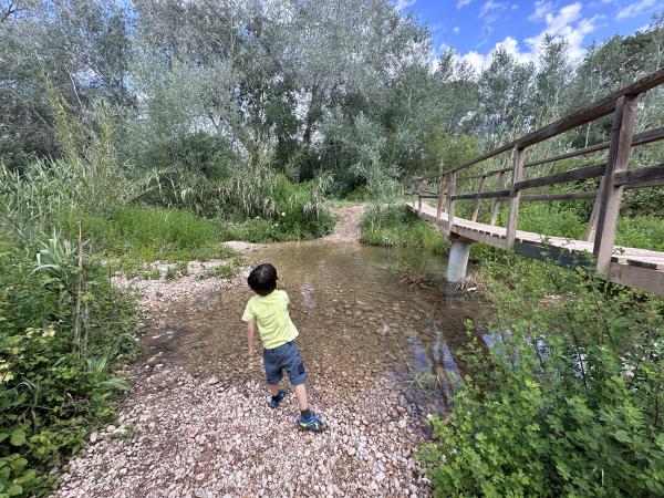 <span>4</span>Punto de partida perfecto para visitar el Monasterio de Santes Creus y para realizar excursiones y actividades en familia | ESCAPADAAMBNENS.COM | ESCAPADAAMBNENS.COM | ESCAPADAAMBNENS.COM | ESCAPADAAMBNENS.COM
