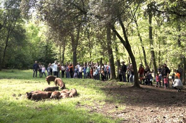 Granja Porcs Casolans Corominas | ca.turismegarrotxa.com