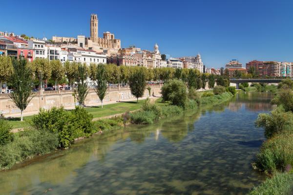 Mercado de la Resurrección, un mercado para vender y comprar en Lleida