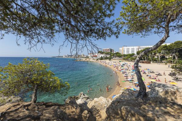 El camí de ronda Nord, les cales de Tramuntana: des de Platja d’Aro fins Sant Antoni de Calonge, a la Costa Brava | Foto: Jordi Geli | Foto: Jordi Geli