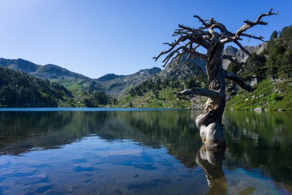 Estany de Baciver des del pla de Beret