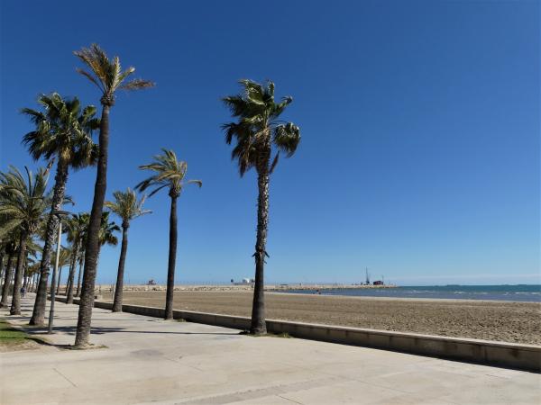 Passeig marítim, port i llotja del peix | Sant Carles de la Ràpita. Foto: SHUTTERSTOCK.COM | Sant Carles de la Ràpita. Foto: SHUTTERSTOCK.COM