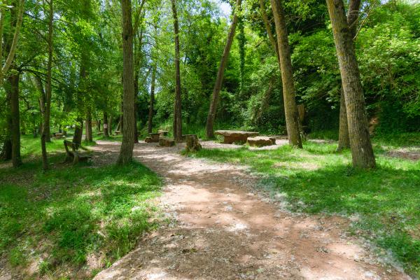 Parc del Molí Nou amb nens