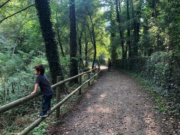 Àrea de pícnic de la Font de Querol