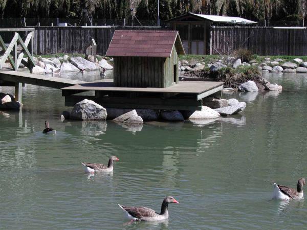 Centre de Fauna, al Pont de Suert, l'Alta Ribagorça | turismealtaribagorca.cat | turismealtaribagorca.cat