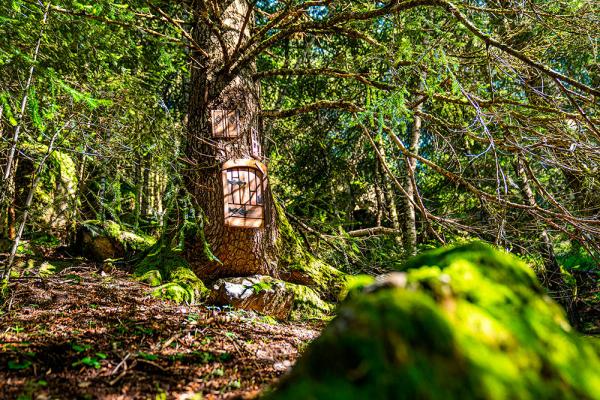 Com arribar al Bosc dels Menairons i a on aparcar? | visitandorra.com