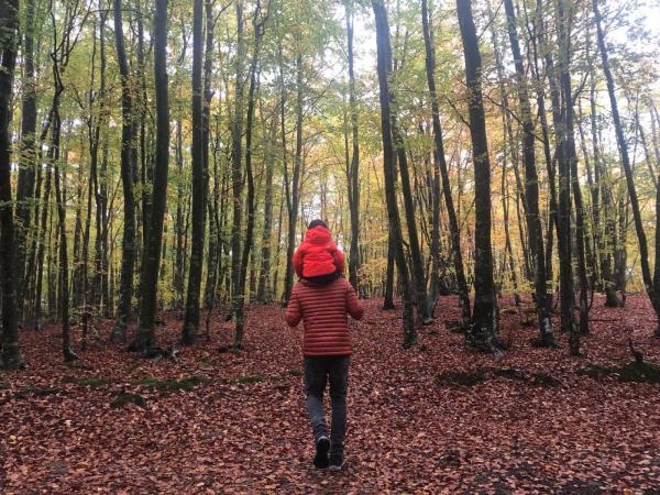 Las 5 mejores excursiones de otoño para realizar con niños en Catalunya