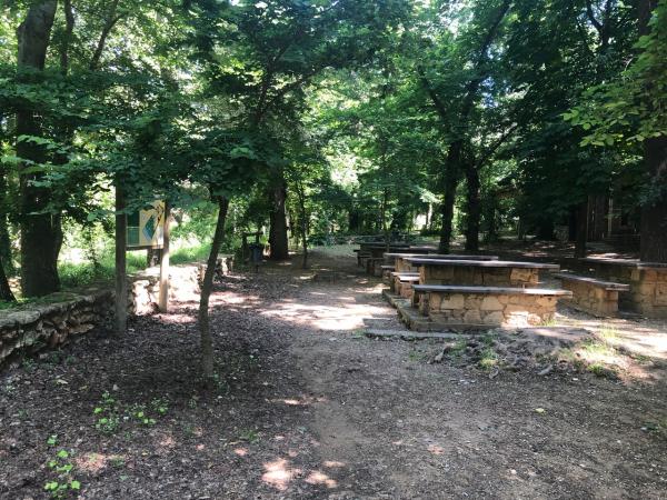 La Alameda de Santes Creus, un espacio zen