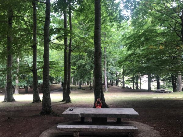 Zona de picnic del refugio de Conangles, en el Vall d'Aran