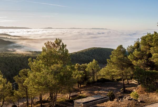 Área recreativa de la ermita de Sant Pau