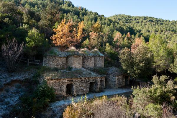 Ruta per les tines de pedra seca a la Vall del Flequer amb nens