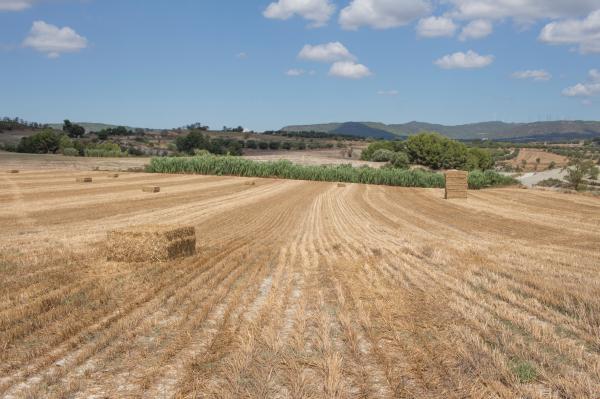 Santa Margarida de Montbui