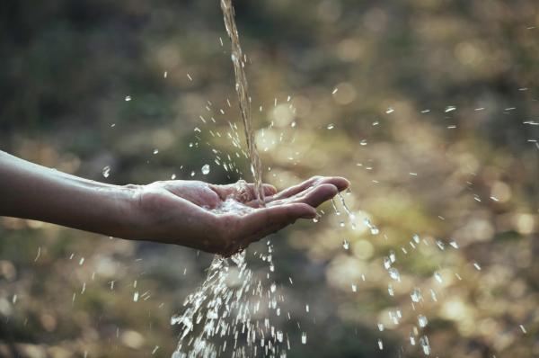 Un día Sant Hilari Sacalm con niños