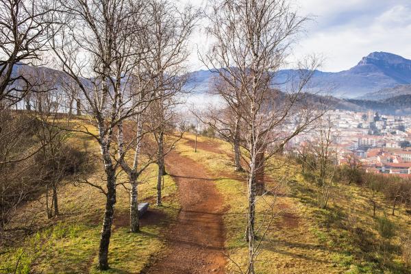 Volcà del Montsacopa